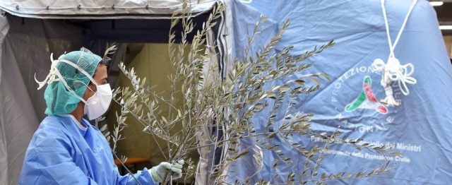 172557030-d5608613-5596-4934-940b-8af713d7347c