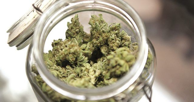 Medical marijuana is shown in a jar at The Joint Cooperative in Seattle