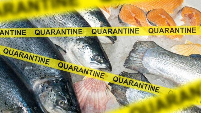 China-gets-a-scare-with-Coronavirus-found-on-frozen-food-packages-opt