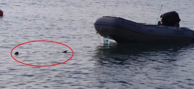 viber_image_2022_05_24_21_04_09_381_h2k36w8e1t