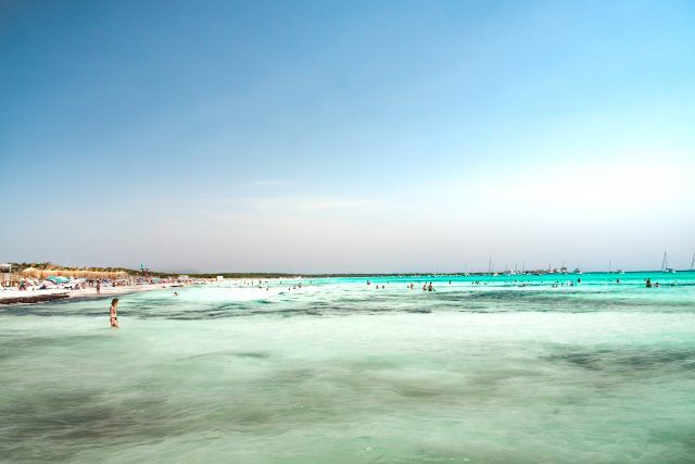 pexels-jo-kassis-5522404