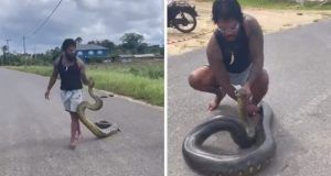 8329af1e 35f2 4623 8b76 f5dcfca7d9b6