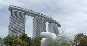 IMG 20240131 110528 1