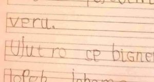 136849b3 485f 4c8a ac1b d0c9358c5e03