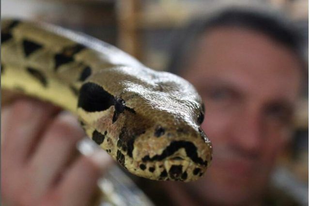 1376913 screenshot 56 ls (1) 1376913 screenshot 56 ls (1)