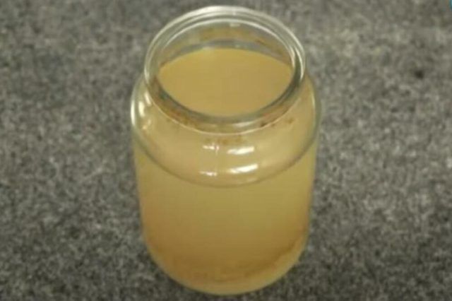 1384533 screenshot 3 ls