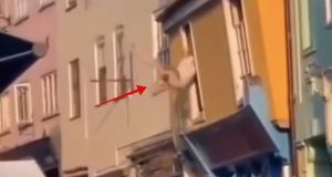 1d6a5d81 a3a1 4cae a594 63622cd39796