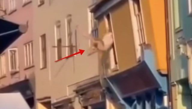 1d6a5d81 a3a1 4cae a594 63622cd39796