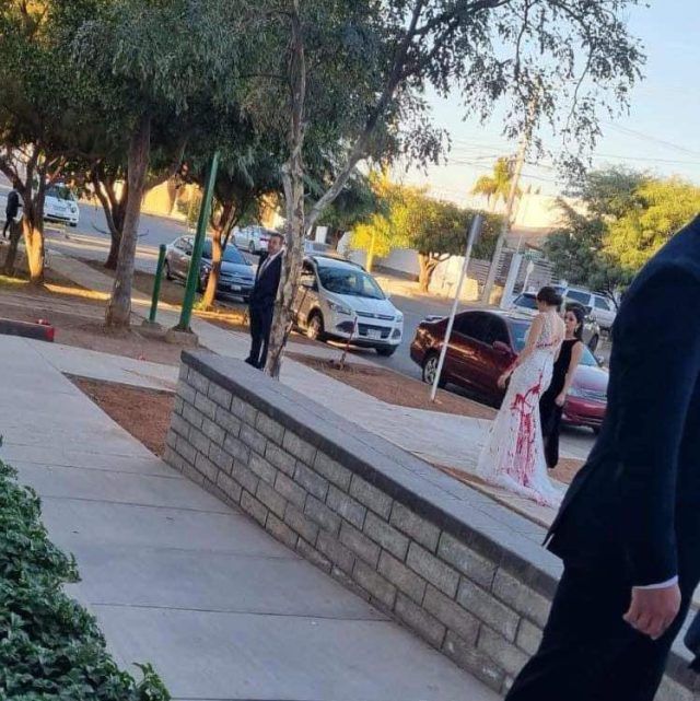 417446979 881628870639440 6028113159550548185 n (1)