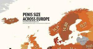 587fee28 5e56 4cff b37c 32e5b35f85d1