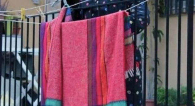 80d55dbf 997e 4a6d 8167 5a12f588b2df