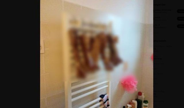 81595b22 1652 4a1e aaff 220e8ecf36bf (1)