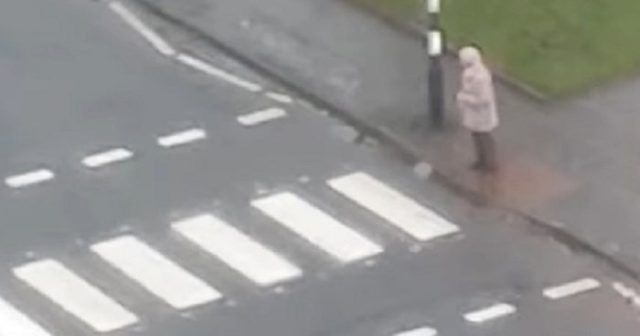 9fe99020 45ca 4533 84b4 9ac12bc90eb5