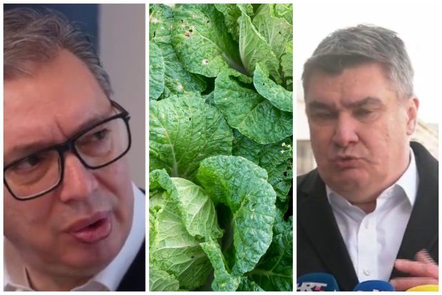 MixCollage 18 Feb 2024 11 19 AM 1110 MixCollage 18 Feb 2024 11 19 AM 1110