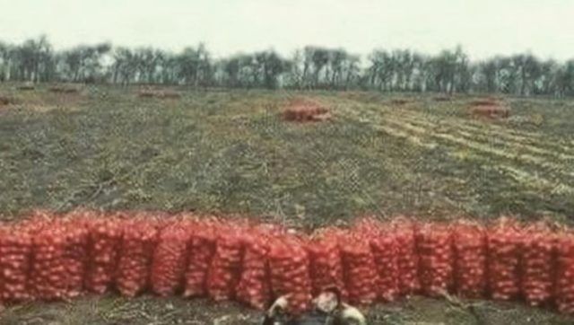 e6ad5043 f6be 423b 82e7 bdfe853bab4b