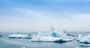 pexels guillaume falco 2229887