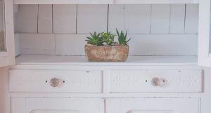 pexels jessica lewis 🦋 thepaintedsquare 2239672