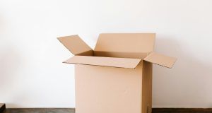 pexels karolina grabowska 4498152