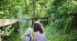 pexels leah newhouse 193035