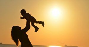 pexels pixabay 51953