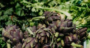 pexels polina kovaleva 7511831