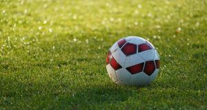 pexels tom van dyck 15157518