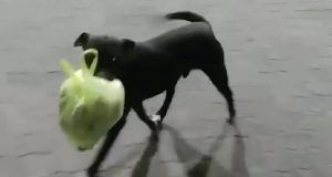 091706520 c07ab41e 533c 4cc7 afce 0f41487c55bc