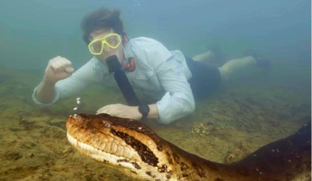 09394dda 73ea 4741 80d3 fb6d5033d5cb