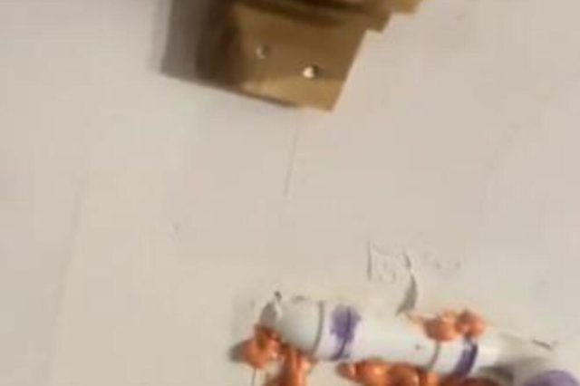 1494432 screenshot 20240325 175701 ls