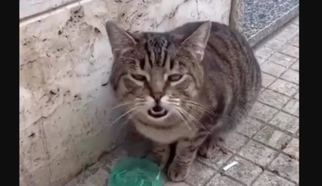 242593e9 56c0 4c58 aec0 70868752406e