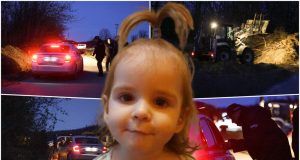 3849611 collage copy ls