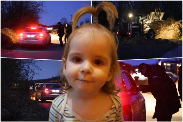 3849611 collage copy ls