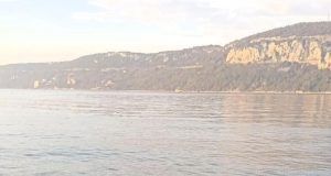 432263431 872988418202002 7585688587481383530 n