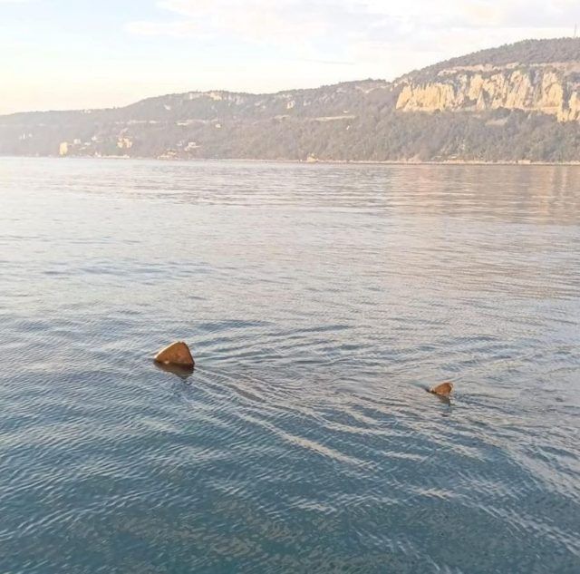 432263431 872988418202002 7585688587481383530 n