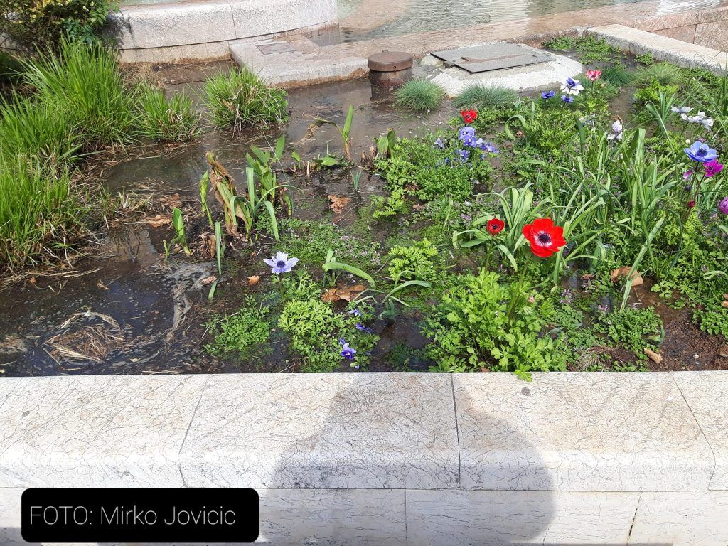 433095525 1622078485212731 8816222807524001414 n