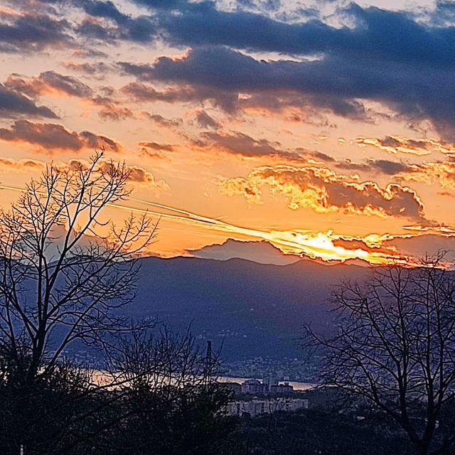 433430775 1211195986520248 4416268593266035503 n