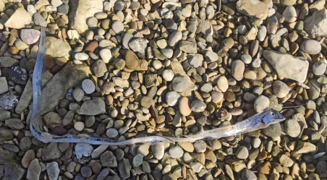 9dcbf39c 8913 4150 a5a9 0643c25964e0