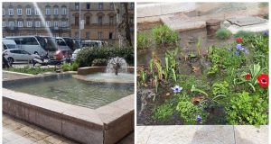 MixCollage 15 Mar 2024 06 18 PM 9985