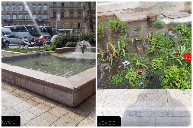 MixCollage 15 Mar 2024 06 18 PM 9985