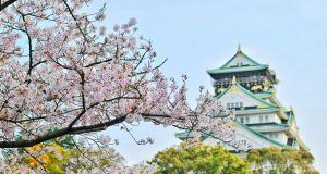 pexels bagus pangestu 1440476