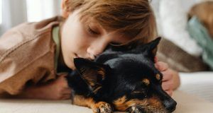 pexels karolina grabowska 7693380