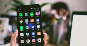 pexels lisa fotios 1092644