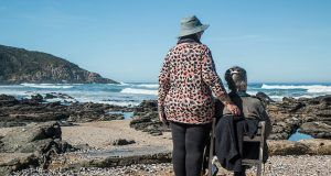 pexels pixabay 160767