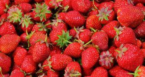 pexels pixabay 46174