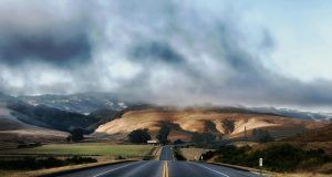 pexels pixabay 63324 (1)