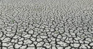 pexels saicharangoud kannapuram 7747613