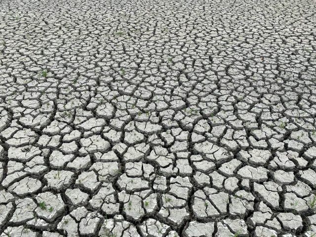 pexels saicharangoud kannapuram 7747613