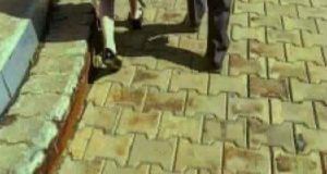 01335389 9609 48ab 980c 2b94ec92f27a