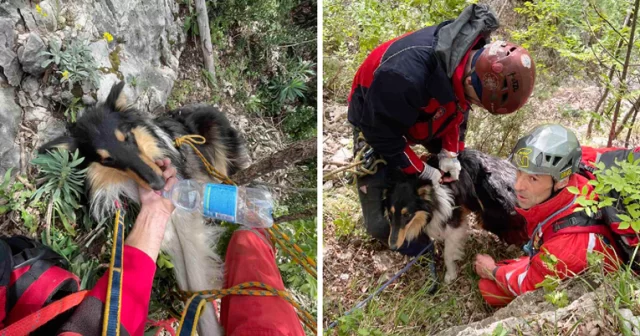 0f14bd06 712a 4a9e afe7 7e0cb2126463