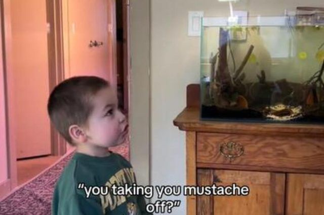 1495940 snimak ekrana 20240331 204332 ls